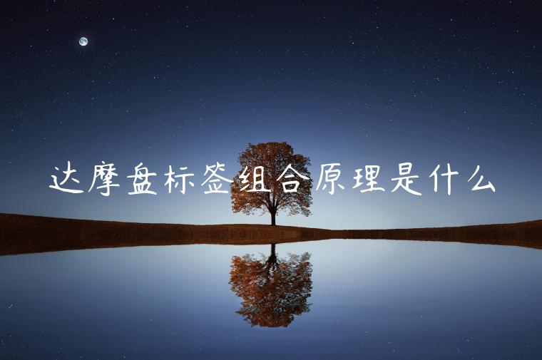 達(dá)摩盤標(biāo)簽組合原理是什么